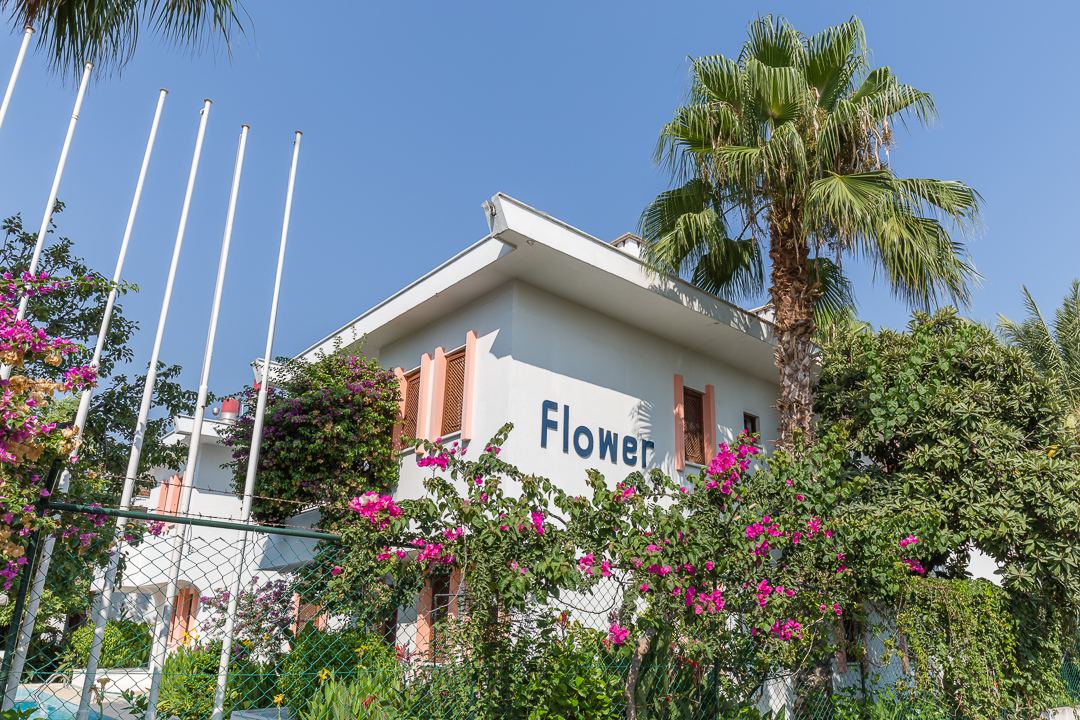 Villa cephesi ve bahçe çiçekleri