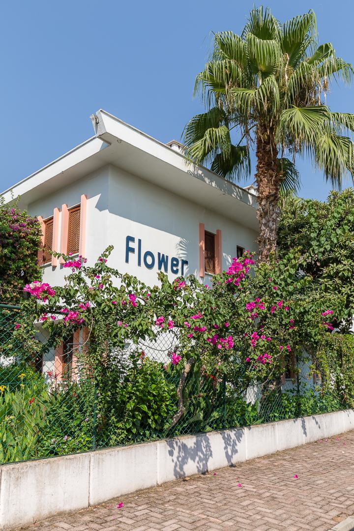 Villa cephesi çiçeklerle